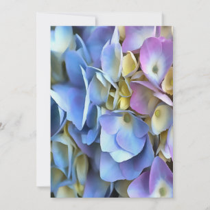 Blue Hydrangea Shrub Artistic Bossom
