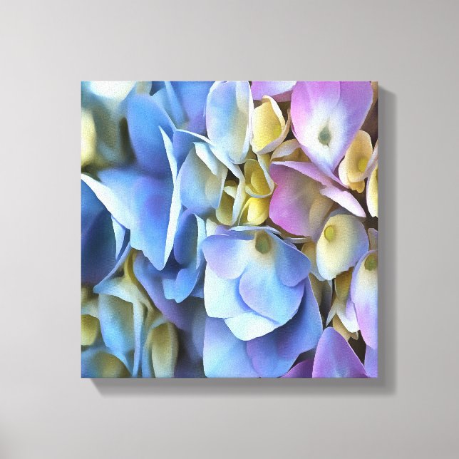 Blue Hydrangea Shrub Artistic Bossom Canvas Print (Front)