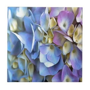 Blue Hydrangea Shrub Artistic Bossom Tile