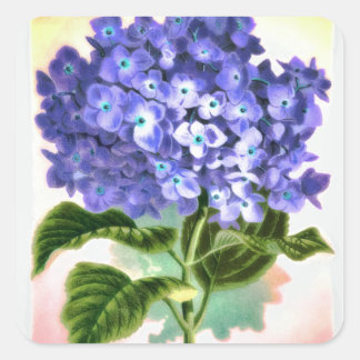 Blue Hydrangea Sticker