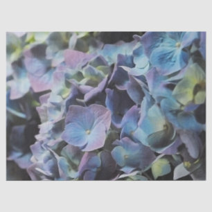 Blue Hydrangea Tissue Paper