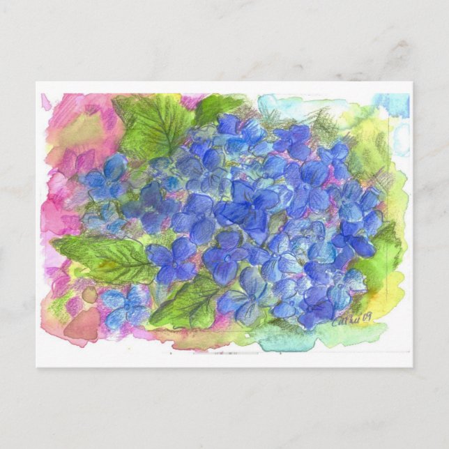 Blue Hydrangea Watercolor Flower Art Postcard (Front)