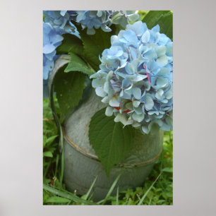 Blue Hydrangea With Pitcher Poster