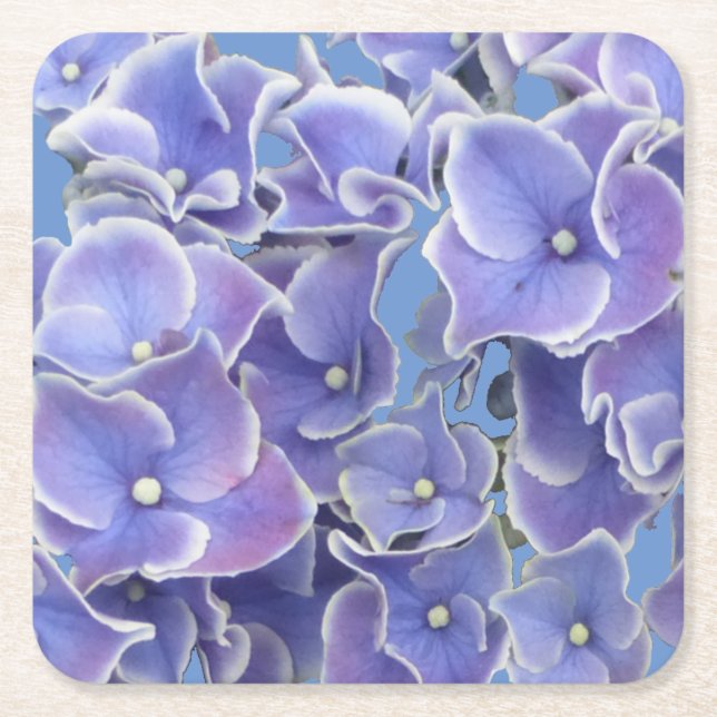 Blue Hydrangea with White Border Paper Coaster (Front)
