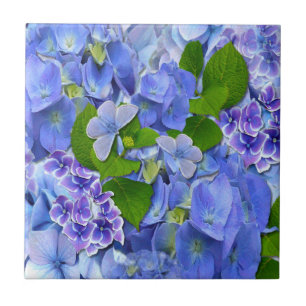 Blue Hydrangeas and Butterflies Ceramic Tile