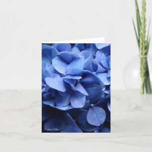 Blue Hydrangeas blank notelet / card