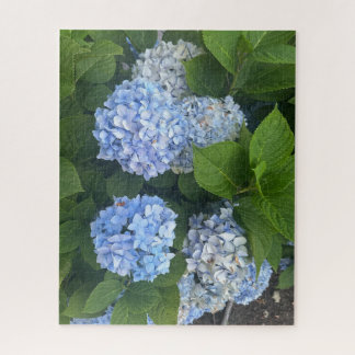 Blue Hydrangeas, San Lorenzo Jigsaw Puzzle