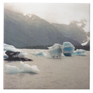 Blue Ice Ceramic Tile