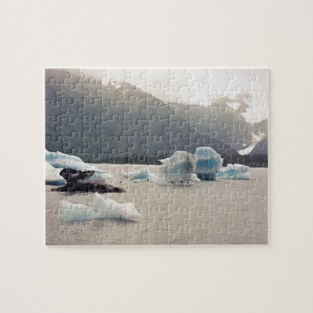 Blue Ice Jigsaw Puzzle (Horizontal)