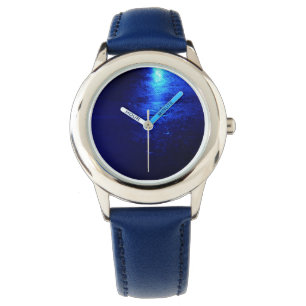 BLUE ICE WATCH