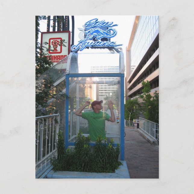 Blue Iguana - Vertical Postcard (Front)