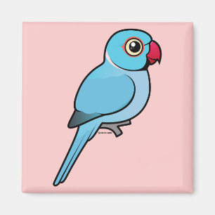 Blue Indian Ringneck Magnet