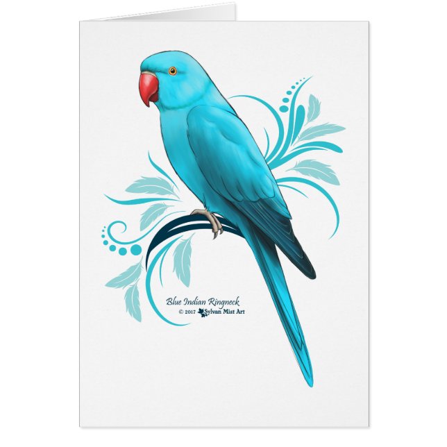 Blue Indian Ringneck Parrot (Front)