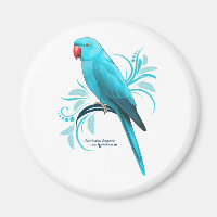 Blue Indian Ringneck Parrot