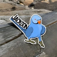 Blue Indian Ringneck Parrot Pet Bird Name Cute Fun