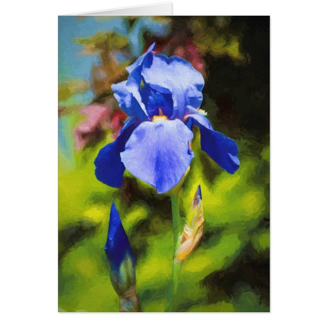 Blue Iris (Front)