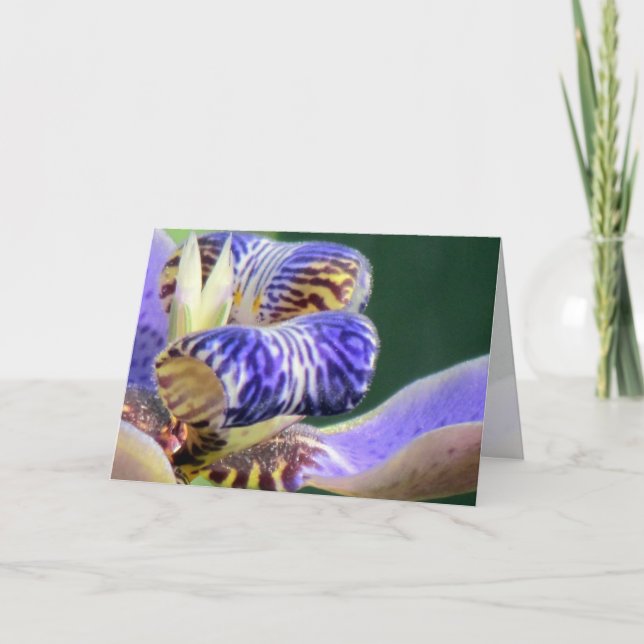 Blue Iris Floral Birthday Card (Front)