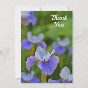 Blue Iris Flower Flat Thank You Card