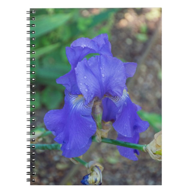 Blue iris flower notebook (Front)