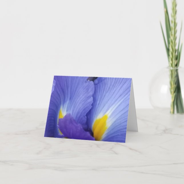 Blue Iris Flowers Detail Note Cards (Front)