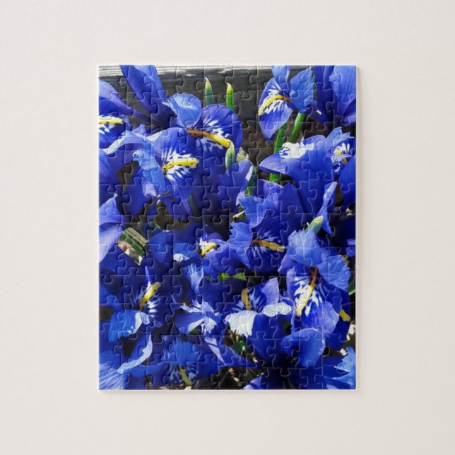 Blue Iris Flowers in the Garden Jigsaw Puzzle (Vertical)