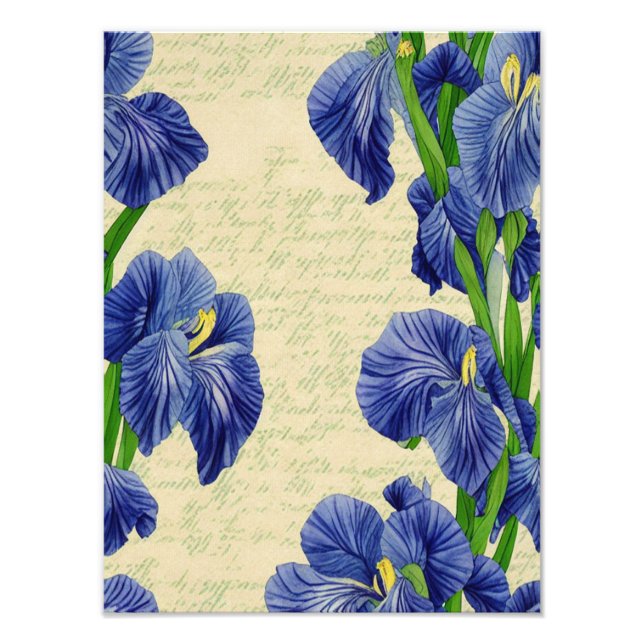 Blue iris flowers vintage ephemera pattern photo print (Front)