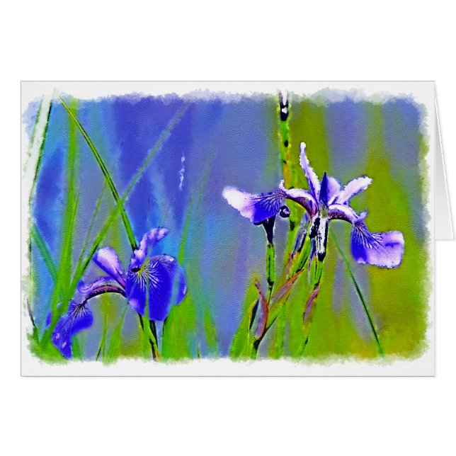 Blue Iris Garden Flowers Florists Designer Art (Front Horizontal)