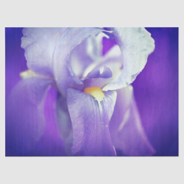 Blue Iris Gift Tissue Paper (Front)