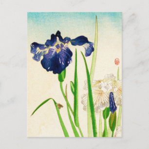 Blue Iris - Japanese watercolor print Postcard