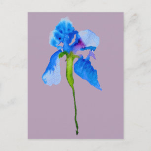 Blue Iris modern floral watercolour art Postcard