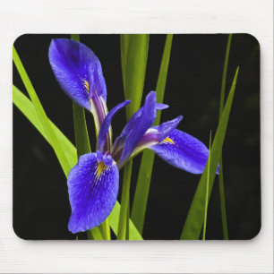 Blue Iris Mousepad