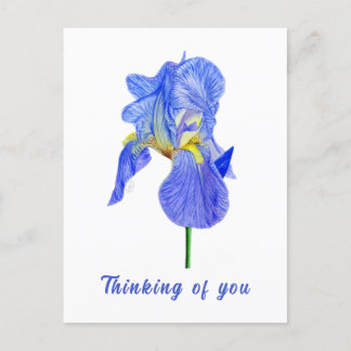 Blue Iris Thinking of You Postcard