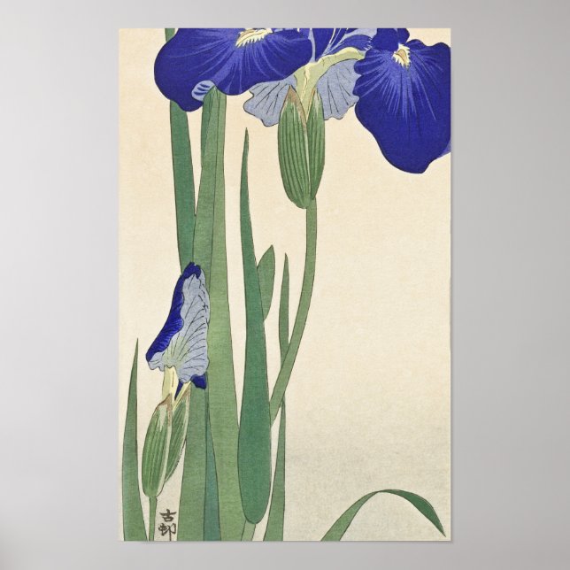Blue Irises (1900 - 1930) by Ohara Koson Poster (Front)