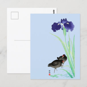 Blue Irises and Moorhens by Ohara Koson Postcard