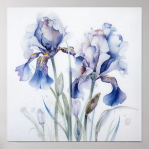 Blue Irises Flower Art Print Poster