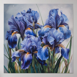 Blue Irises Flower Art Print Poster
