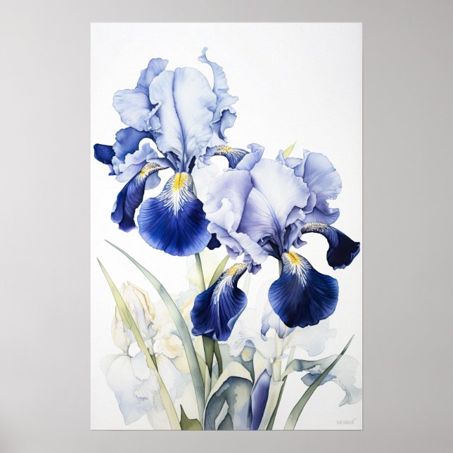 Blue Irises Flower Art Print Poster (Front)