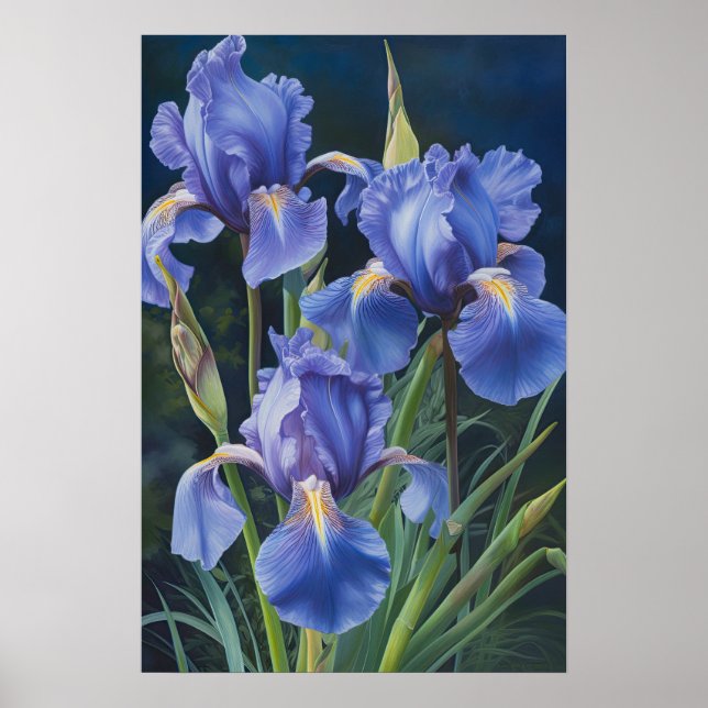 Blue Irises Flower Art Print Poster (Front)