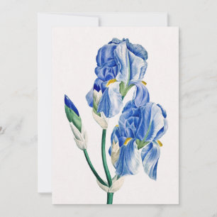 Blue Irises Thank You Holiday Card