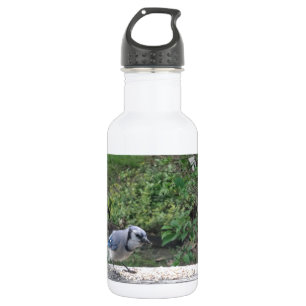 Blue Jay 532 Ml Water Bottle