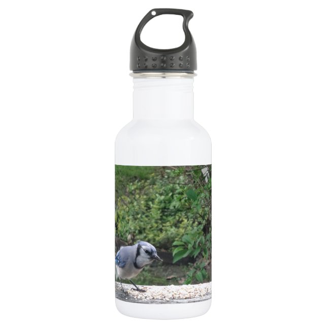 Blue Jay 532 Ml Water Bottle (Front)