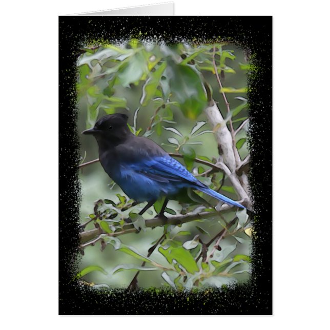 Blue Jay - 5" x 7" Art Card (Front)