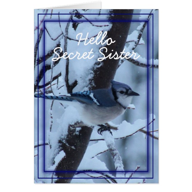 Blue Jay 7133- customise any occasion (Front)