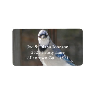 Blue Jay Address Label