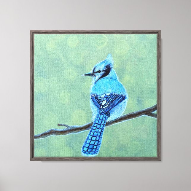 Blue Jay Bird Canvas Print (Front)