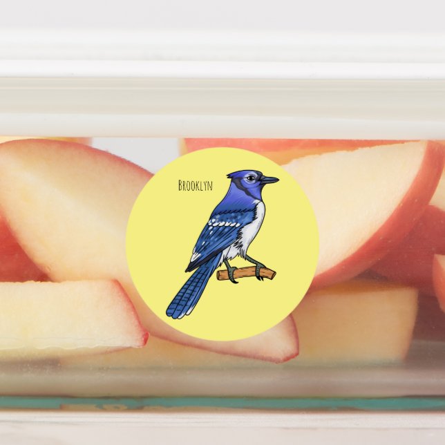 Blue jay bird cartoon illustration  (Affixed)