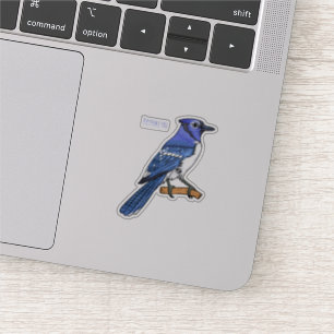 Blue jay bird cartoon illustration