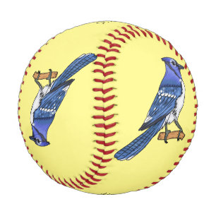 Blue jay bird cartoon illustration baseball