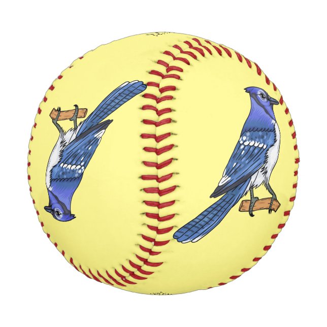 Blue jay bird cartoon illustration baseball (Angled)