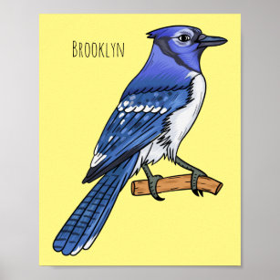Blue jay bird cartoon illustration  poster